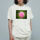 solabuluの春ぼんぼり オーガニックコットンTシャツ