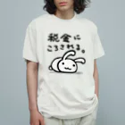 幸うさ.comの税金にころされる。 オーガニックコットンTシャツ