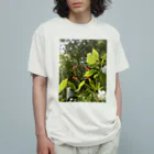 海の武士(かいすぃー)マーケットの緑感じるシャツ"Green Power" オーガニックコットンTシャツ
