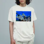 天秤座の星空の魚 オーガニックコットンTシャツ