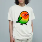 Cody the LovebirdのChubby Bird ルリゴシボタンインコ オーガニックコットンTシャツ