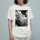 Dreamscape(LUNA)のシュガーキャンディー Organic Cotton T-Shirt