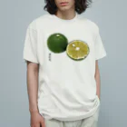 脂身通信Ｚのすだち_B オーガニックコットンTシャツ