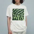 after the rainの斑入りの葉 オーガニックコットンTシャツ