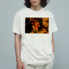 nokkccaのライトアップ紅葉 - Japanese maple(night shot) - オーガニックコットンTシャツ