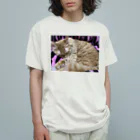 トロールショップの我が家のお眠り中の猫 Organic Cotton T-Shirt