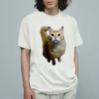 トロールショップの我が家のお猫様が見てます(笑) オーガニックコットンTシャツ