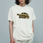 カメの歩みのロシアリクガメ Organic Cotton T-Shirt