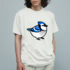 Cody the LovebirdのChubby Bird アオカケス　ブルージェイ オーガニックコットンTシャツ