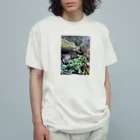 FIRE FLYの多様性の森 オーガニックコットンTシャツ