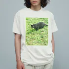 天光のねこ部屋の黒猫カカオの庭 オーガニックコットンTシャツ