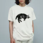 アメショーのひめちゃんのアメショーのひめちゃん⑥ オーガニックコットンTシャツ