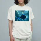 ダイヤモンドのえいくん Organic Cotton T-Shirt