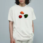 anorinoのパワーストーン オーガニックコットンTシャツ