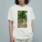 seikonisikooriの緑金柑の実 Organic Cotton T-Shirt