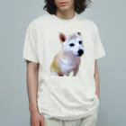 ニコサンカフェのかわいいフクちゃん オーガニックコットンTシャツ