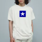 BLUE MINDの北極星Tシャツ オーガニックコットンTシャツ