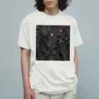 S204_NanaのNGC1333 Organic Cotton T-Shirt