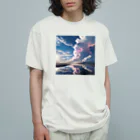 chan-takehaniの天空の鏡  オーガニックコットンTシャツ