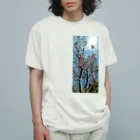 haru-dei-の桜 Organic Cotton T-Shirt