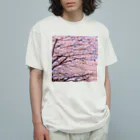 辺賦志ショップの美しき桜 Organic Cotton T-Shirt