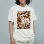 koikoi shop@suzuri店のおもいでのなかの桜 Organic Cotton T-Shirt