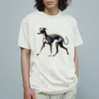 チェリモヤのイタリアン グレイハウンド 01 Organic Cotton T-Shirt