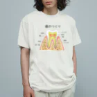 miu8080の歯のつくり オーガニックコットンTシャツ