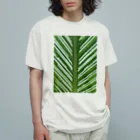 Waternavy & Co.の葉脈 オーガニックコットンTシャツ