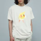 まめるりはことりのオカメインコ　おすましルチノー【まめるりはことり】 オーガニックコットンTシャツ