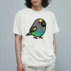 Cody the LovebirdのChubby Bird ムラクモインコ オーガニックコットンTシャツ