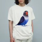 まめるりはことりのボタンインコ　おすましコバルトブルー【まめるりはことり】 オーガニックコットンTシャツ