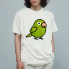 Cody the LovebirdのChubby Bird メジロメキシコインコ オーガニックコットンTシャツ