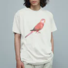 まめるりはことりのアキクサインコ　ピンク【まめるりはことり】 Organic Cotton T-Shirt