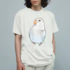 まめるりはことりのおすましコザクラインコ　らむねちゃん【まめるりはことり】 オーガニックコットンTシャツ