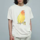 まめるりはことりの得意げ可愛い　コザクラインコちゃん【まめるりはことり】 オーガニックコットンTシャツ