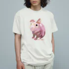 aNone sOnoneのスキニーギニアピッグ オーガニックコットンTシャツ