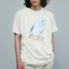 まめるりはことりのおしゃまなマメルリハのるりちゃん【まめるりはことり】 オーガニックコットンTシャツ