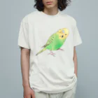 まめるりはことりの首傾げセキセイインコ　ピーちゃん【まめるりはことり】 オーガニックコットンTシャツ