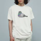 Deuraのねむるハト オーガニックコットンTシャツ