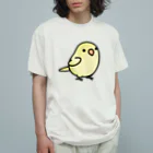 Cody the LovebirdのChubby Bird マメルリハ オーガニックコットンTシャツ