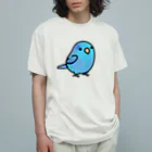 Cody the LovebirdのChubby Bird マメルリハ オーガニックコットンTシャツ