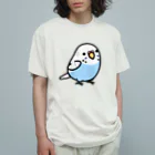 Cody the LovebirdのChubby Bird セキセイインコ オーガニックコットンTシャツ