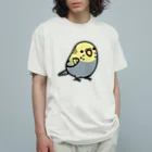 Cody the LovebirdのChubby Bird セキセイインコ オーガニックコットンTシャツ