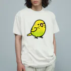 Cody the LovebirdのChubby Bird　セキセイインコ オーガニックコットンTシャツ