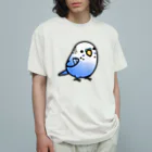 Cody the LovebirdのChubby Bird セキセイインコ オーガニックコットンTシャツ