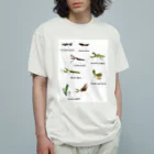 L_arctoaの関東のカマキリ（旧学名・非推奨）（背景白色ver） オーガニックコットンTシャツ