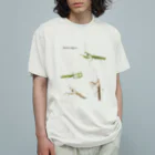 L_arctoaのウスバカマキリ（背景透過ver） オーガニックコットンTシャツ