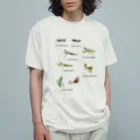 L_arctoaの関東のカマキリ（旧学名・非推奨）（背景透過ver） オーガニックコットンTシャツ