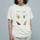 L_arctoaのオオカマキリとチョウセンカマキリ オーガニックコットンTシャツ